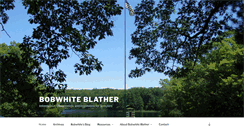 Desktop Screenshot of bobwhiteblather.com